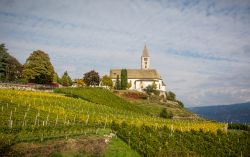 La chiesa di Cortaccia circondata dai vigneti dell'Alto Adige. Siamo sulla Strada del VIno