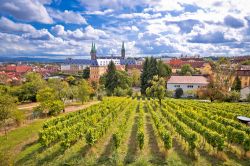 La città di Bamberga vista dai vigneti Michaelsberg, Germania.
