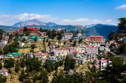 La cittadina di Shimla, stato federato dell'Himachal Pradesh, India. Popolare destinazione turistica, Shimla viene spesso chiamata dagli inglesi "regina delle colline". Si trova ...