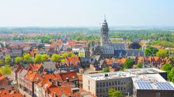 La cittadina olandese di Middelburg vista dall'alto con i tetti rossi delle sue tipiche case.
