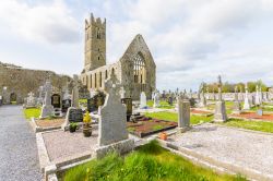 La Claregalway Friary, abbazia francescana medievale, nella città di Claregalway, contea di Galway, Irlanda. Il monastero fu commissionato nel 1252 da Giovanni di Cogan, cavaliere normanno ...