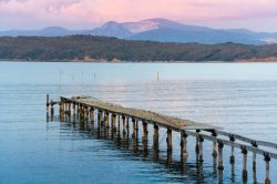 La costa di Baratti in Toscana, la spiaggia vicino a Venturina Terme