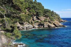 La costa spettacolare a Rayol-Canadel-sur-Mer in Costa Azzurra (Francia) - © Pack-Shot / Shutterstock.com