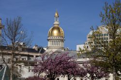 La cupola dorata del New Jersey State Capitol Building di Trenton (USA) in una splendida giornata di primavera.



