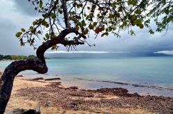 La ensenada (insenada) a Montecristi, Repubblica Dominicana - E' una spiaggia che è tipicamente frequentata dai dominicani, che qui amano mangiare l'aragosta, cotta sulle braci, ...