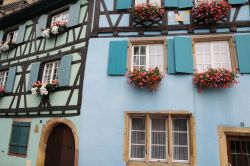 La facciata azzurra di un edificio antico nel centro di Colmar, Alsazia, Francia. A impreziosirla non mancano le persiane color turchese e i gerani fioriti - © Pack-Shot / Shutterstock.com ...
