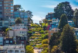 La famosa Lombard Street di San Francisco, California, USA. Il tratto più celebre è quello sulla Russian Hill dove la carreggiata ha 8 ripidi tornanti che l'hanno resa la più ...