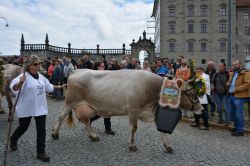 La Festa della Transumanza a Einsiedeln si svolge ogni 5 anni in autunno (Svizzera).
