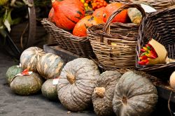 La Festa della Zucca a Pergine Valsugana in Trentino