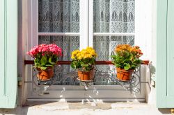 La finestra di una casa decorata con fiori colorati nel centro di Nevers, Francia.
