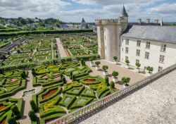 La fioritura nel parco del Castello di Villandry, regione Centro (Francia) - © Michal Szymanski / Shutterstock.com