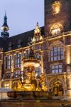 La fontana del Giubileo nel centro di Wuppertal illuminata di sera, Germania. Sulla sommità si trova la statua del dio del mare Nettuno.

