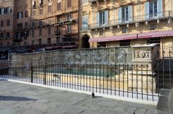 La Fontana Gaia in Piazza del Campo a Siena
