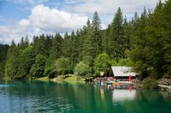 La foresta dei laghi di Fusine, nella regione di Tarvisio in Friuli