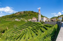 La frazione di Rolle circondata dali i vigneti di prosecco a Cison di Valmarino, in Veneto