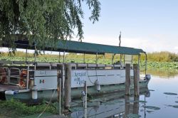 La gita con i Barcaioli del Mincio sul Lago Superiore a Mantova, Lombardia.
