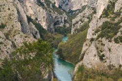 La gola del Furlo si trova vicino a Acqualagna (Marche) ed è formata dal fiume Candigliano