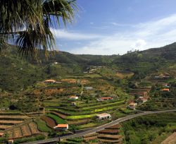 La Gomera, Canarie: una vista dell'entroterra, con le coltivazioni a terrazzamenti.
