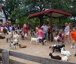 La Grants Farm di Saint Louis Missouri, adatta alle famiglie con bimbi piccoli - © Missouri Division of Tourism