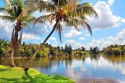 La Laguna del Tesoro è un lago che si trova nei pressi di Boca de Guamà, nella provincia di Matanzas (Cuba).