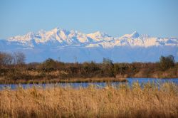 La Laguna di Marano vicino a Latisana: la riesrva di Valle canal Novo