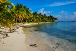 La lunga spiaggia di San Blas, Panama. Questo territorio si trova nel mare dei Caraibi fra Panama e Colombia.
