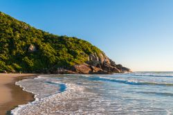 La lussureggiante Brava Beach nella città di Florianopolis, Brasile. Acqua limpida e spiaggia poco affollata rendono questo tratto di litorale uno dei più apprezzati della zona.
 ...