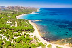 La magnifica spiaggia di Cala Ginepro, costa est della Sardegna