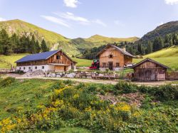 La Malga Steiner Alm  nella Wipptal in Austria - © Marco Reimair