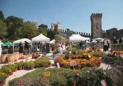 La manifestazione Este in Fiore in Aprile, evento floreale in Veneto