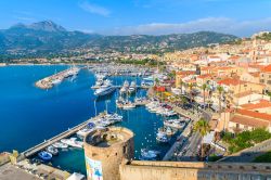 La marina di Calvi, Corsica, con le barche ormeggiate e le case colorate affacciate sul porto - © Pawel Kazmierczak / Shutterstock.com