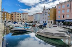 La marina di Muggia con le barche ormeggiate, Friuli Venezia Giulia. E' il Comune più a sud della regione, all'estremità settentrionale della penisola istriana.



 ...