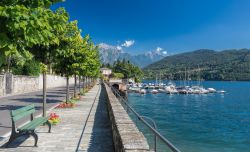 La marina e la passeggiata sulle rive del Lago di Como a Tremezzo  - © Rene Hartmann / Shutterstock.com