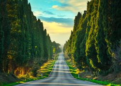 Il simbolo di Bolgheri (Toscana) sono i cipressi, cantati dal sommo poetea Carducci - © ermess /Shutterstock.com