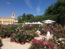 La Mostra mercato del giardinaggio alla Reggia di Colorno - © www.nelsegnodelgiglio.it/