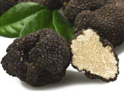 La Mostra Mercato Nazionale del Tartufo Nero pregiato di Norcia