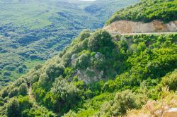 La natura lussureggiante di Cap Corse, Corsica. Siamo nell'area di Rogliano, villaggio a circa 64 km da Bastia.
