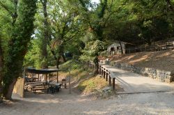 La natura rigogliosa del territorio di Controne in Campania, provincia di Salerno