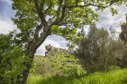 La natura rigogliosa sulle colline intorno a Roccascalegna in Abruzzo