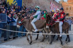 La partenza del palio degli Asini a Torrita di Siena in Toscana - © Stefano Mazzola / Shutterstock.com