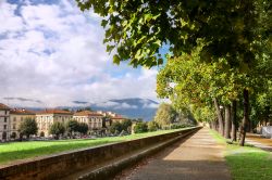 La passeggiata sulle mura di Lucca con vista panoramica sul centro storico della città della Toscana