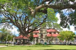 La piazza Derek Walcott Square a Castries isola di St. Lucia (Caraibi)