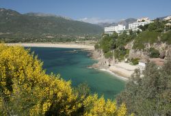 La pittoresca baia di Propriano, Corsica, nella tarda primavera con gli alberi fioriti - © genoapixel / Shutterstock.com