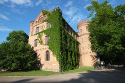 La pittoresca facciata dell'Università di Lund, Svezia, ricoperta da edera.




