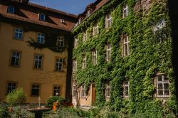 La pittoresca facciata di un edificio ricoperta di edera nel centro di Bamberga, Germania.

