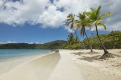 La pittoresca spiaggia della baia di Magens a St. Thomas, Isole Vergini Americane, Mar dei Caraibi.



