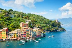 La riviera di Levante in Liguria: le case colorate di Portofino, provincia di Genova.
