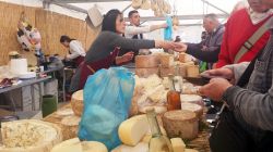 La Sa Sagra di Samassi, uno stand di vendita formaggio e grappe tipiche - © StefaniaArca / Shutterstock.com