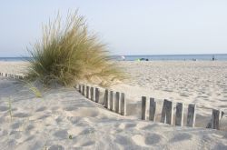 La sabbia di Zahara de los Atunes, Spagna. E' finissima e dorata, proprio come quella delle dune del deserto, la sabbia della spiaggia di Zahara de los Atunes, una delle principali attrattive ...
