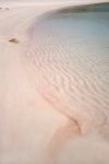 La sabbia rosa di Budelli, arcipelago de La Maddalena (Sardegna). Il particolare colore rosato si deve a frammenti sminuzzati di un microrganismo chiamato Miniacina miniacea.
